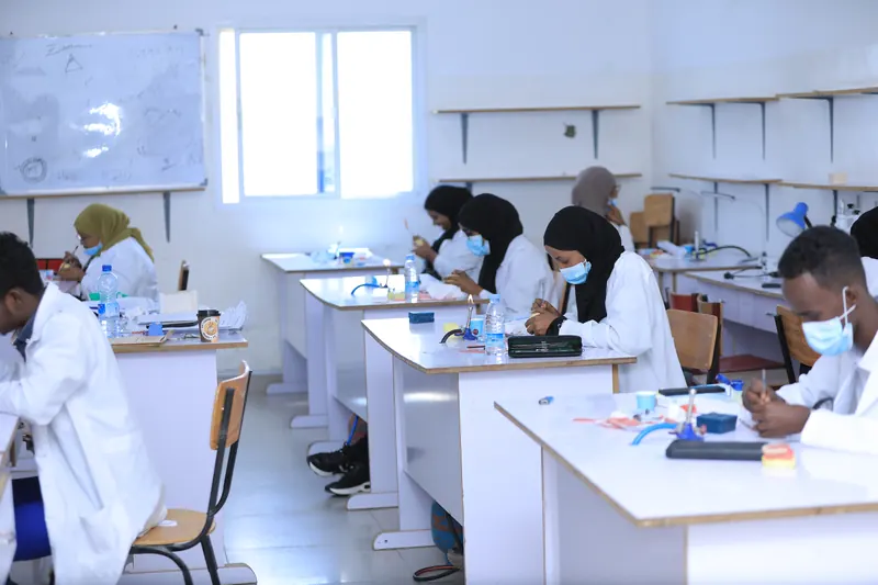 Students working in an Edna Adan University laboratory